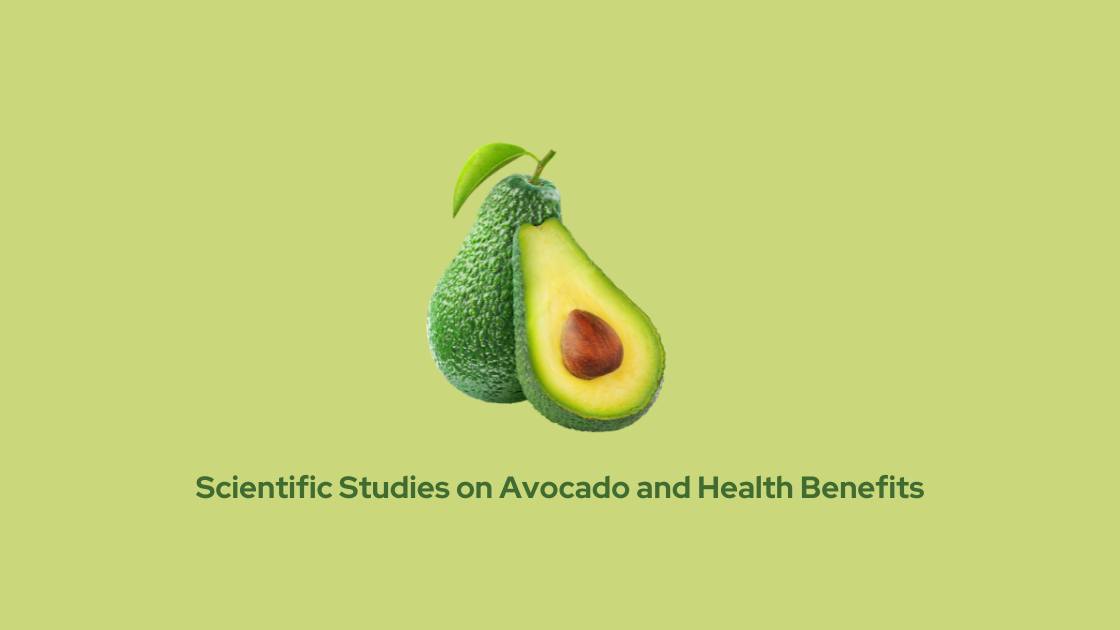 Scientific Studies on Avocado and Health Benefits