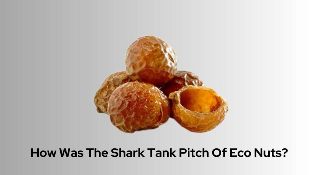 How Was The Shark Tank Pitch Of Eco Nuts?