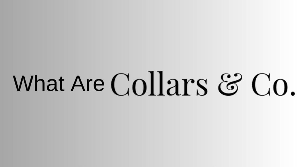 What are Collars and Co